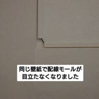 画像255
