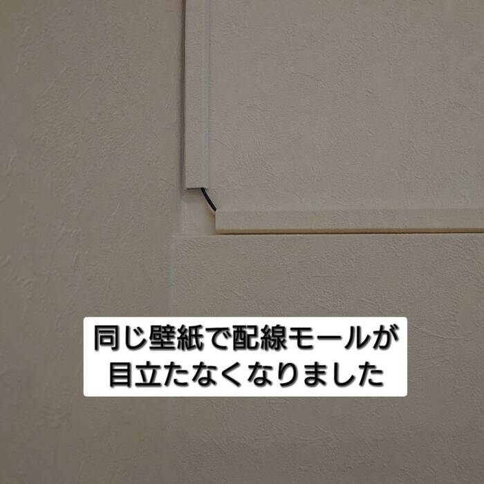 画像255