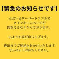 画像282